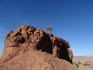 3E Namib woestijn, wandeling _DSC00193