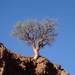 3E Namib woestijn, wandeling _DSC00194