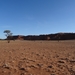 3E Namib woestijn, wandeling _DSC00201