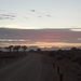 3F Namib woestijn, zonsopgang Sossusvlei _DSC00204