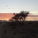 3F Namib woestijn, zonsopgang Sossusvlei _DSC00205