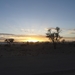 3F Namib woestijn, zonsopgang Sossusvlei _DSC00211