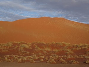 3G Namib woestijn, Sossusvlei _DSC00220