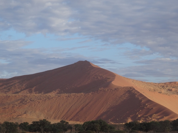 3G Namib woestijn, Sossusvlei _DSC00232