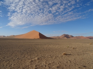 3G Namib woestijn, Sossusvlei _DSC00239