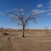 3G Namib woestijn, Sossusvlei _DSC00249
