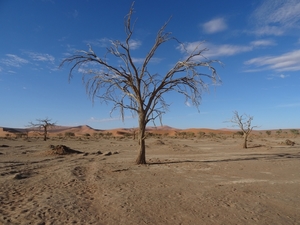 3G Namib woestijn, Sossusvlei _DSC00249