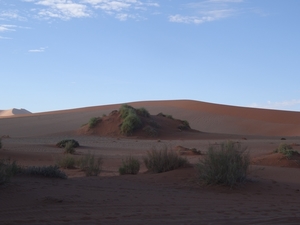 3G Namib woestijn, Sossusvlei _DSC00251
