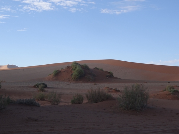 3G Namib woestijn, Sossusvlei _DSC00251