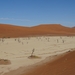 3I Namib woestijn, Deadvlei