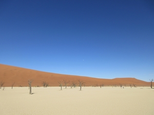 3I Namib woestijn, Deadvlei 4