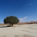 3J Namib woestijn, Sossusvlei _DSC00275
