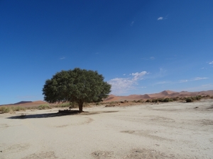 3J Namib woestijn, Sossusvlei _DSC00275