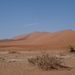 3J Namib woestijn, Sossusvlei _DSC00277