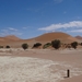 3J Namib woestijn, Sossusvlei _DSC00279