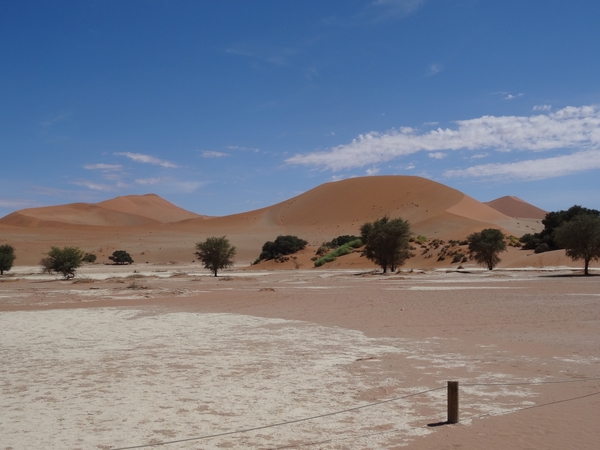 3J Namib woestijn, Sossusvlei _DSC00279