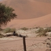 3J Namib woestijn, Sossusvlei _DSC00280