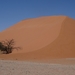 3K Namib woestijn, Sossusvlei, Dune45  _DSC00282