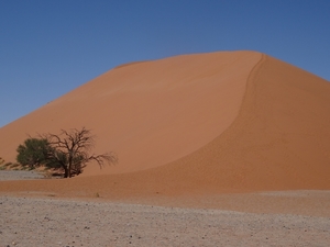 3K Namib woestijn, Sossusvlei, Dune45  _DSC00282
