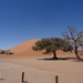 3K Namib woestijn, Sossusvlei, Dune45  _DSC00285