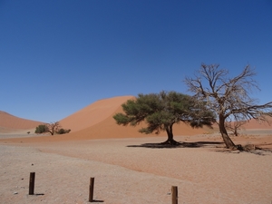 3K Namib woestijn, Sossusvlei, Dune45  _DSC00285