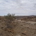 3P Namib woestijn west-- Swakopmund _DSC00346