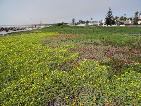 4B Swakopmund _DSC00381