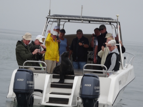 4D Walvisbaai, boottocht _DSC00412