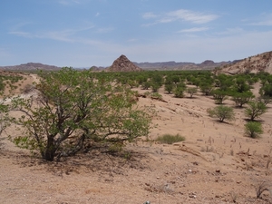 5B Swakopmund--Damaraland _DSC00473