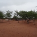 6D Kamanjab, Himba's _DSC00535