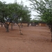 6D Kamanjab, Himba's _DSC00537