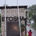 7E Etosha  NP _DSC00602