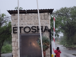 7E Etosha  NP _DSC00602