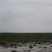 7E Etosha  NP _DSC00620