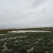 7E Etosha  NP _DSC00644