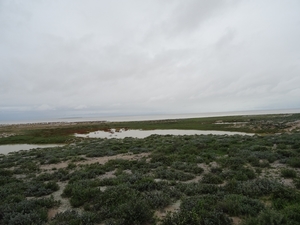 7E Etosha  NP _DSC00644