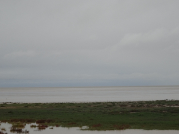 7E Etosha  NP _DSC00645