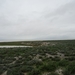 7E Etosha  NP _DSC00646