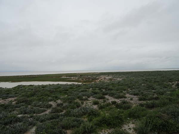 7E Etosha  NP _DSC00646