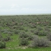 7E Etosha  NP _DSC00648