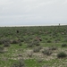 7E Etosha  NP _DSC00651