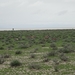 7E Etosha  NP _DSC00652