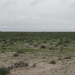 7E Etosha  NP _DSC00654