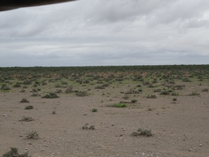 7E Etosha  NP _DSC00687