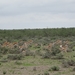 7E Etosha  NP _DSC00688