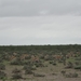 7E Etosha  NP _DSC00690