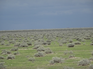 7E Etosha  NP _DSC00710