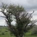 7E Etosha  NP _DSC00720