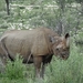 7E Etosha  NP _DSC00764