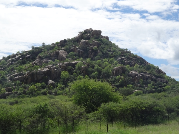 8A Etosha--Erindi GP _DSC00784
